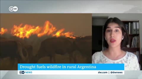 Firefighters in northern Argentina are struggling to contain massive wildfires | DW News