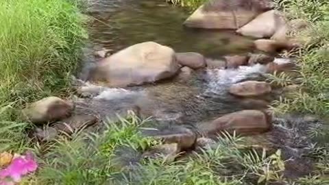 Water Stream
