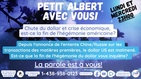 Petit Albert avec vous! - Chute du dollar et crise économique, fin de l'hégémonie américaine??