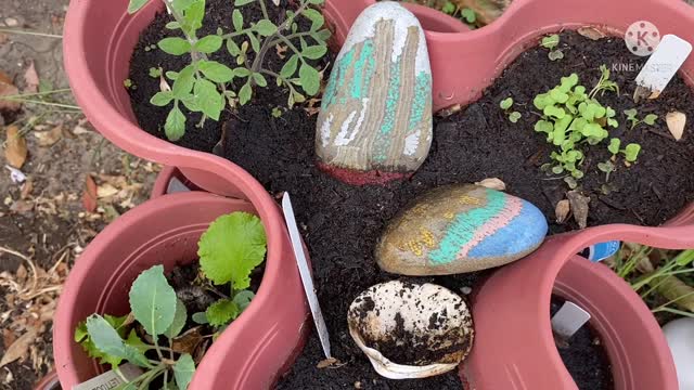 Stackable Vegetable Garden