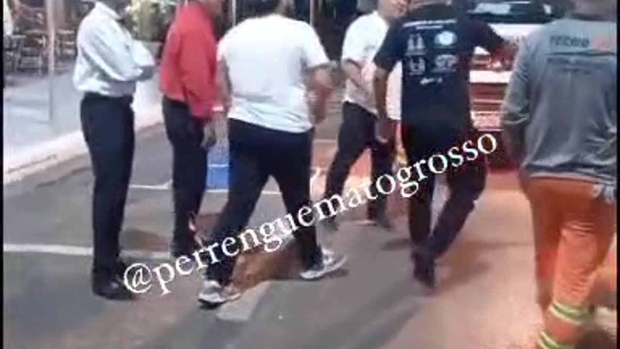 Confusão no Choppão