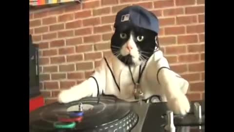 DJ Kitty - the REAL Original!