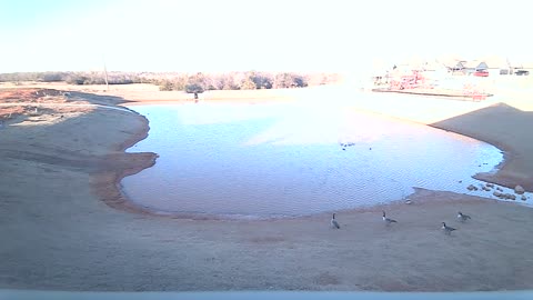 The Pond