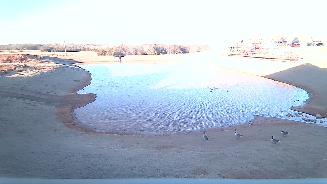The Pond