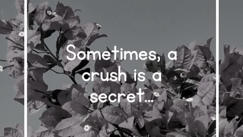 Sometimes, a crush is a secret...