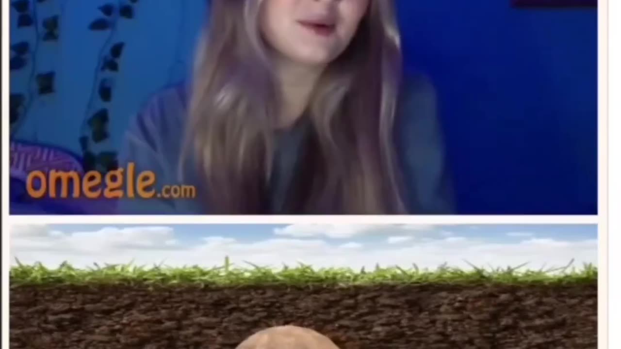 Potato in omegle
