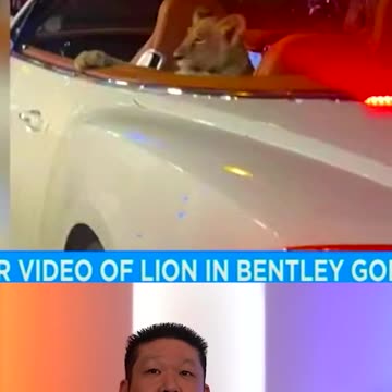 My Bentley Has A Lion In It. Does Yours?