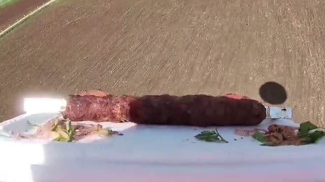 urlese crbus are bengtrained to clean upcigarette buits