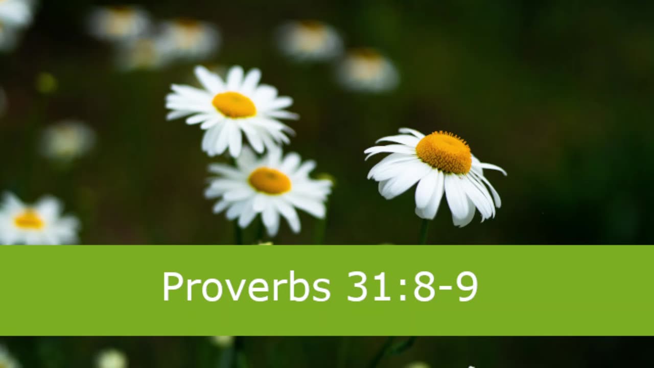 1 Minute -- Proverbs 31 Devotional -- March 31, 2023