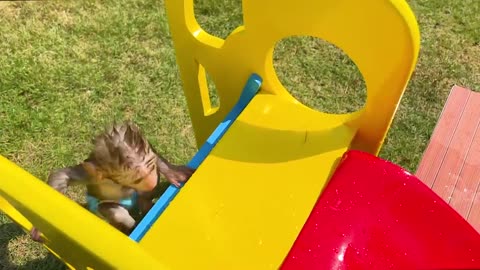 Monkey Baby Bon Bon picks bananas in the garden and swims with the rainbow Water Balls