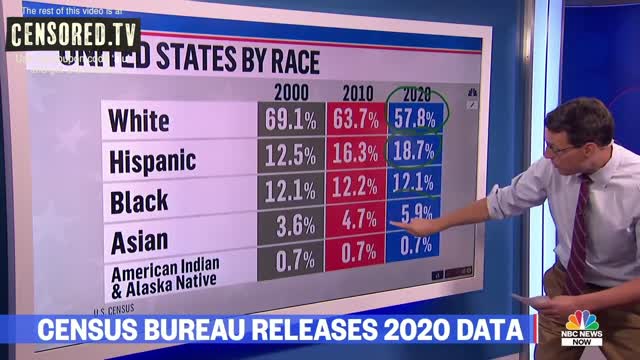 The United States Census 2020 - White People Are Melting