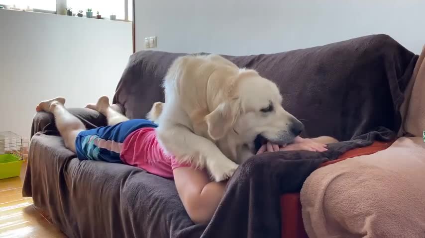 My wife tried to give me a massage but the dog decided to go his own way