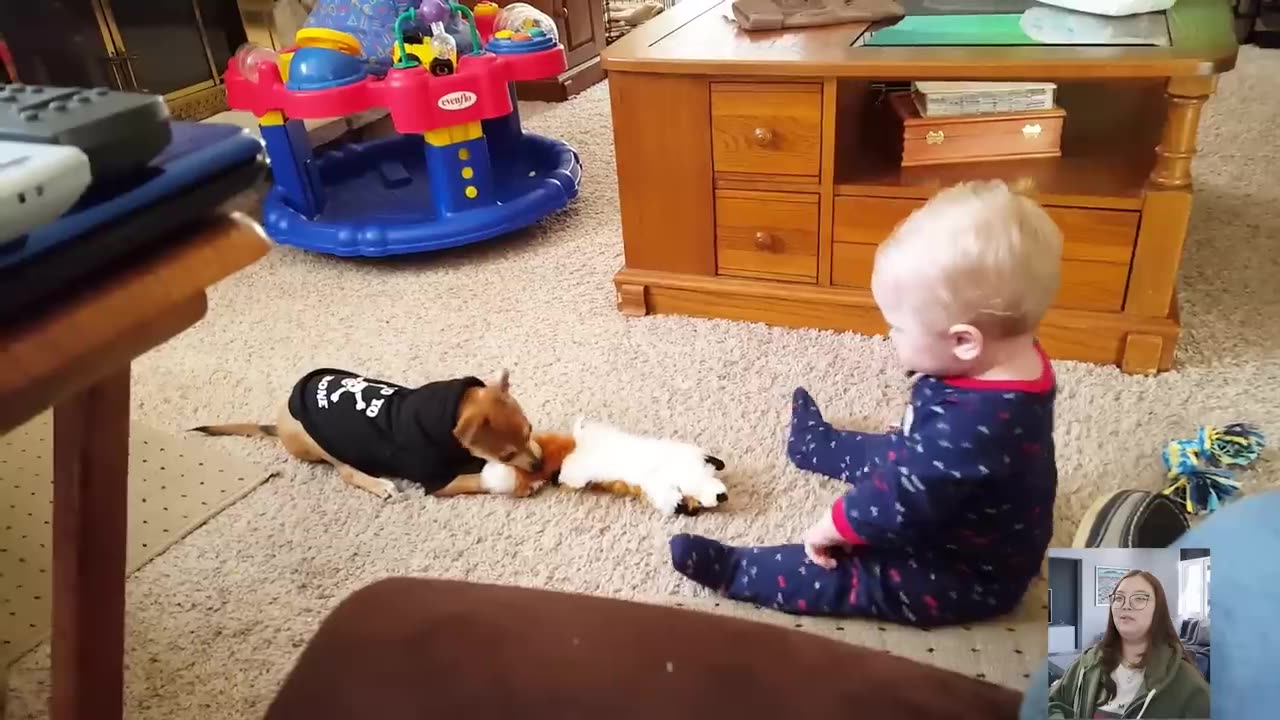 Funniest Baby Fail complation