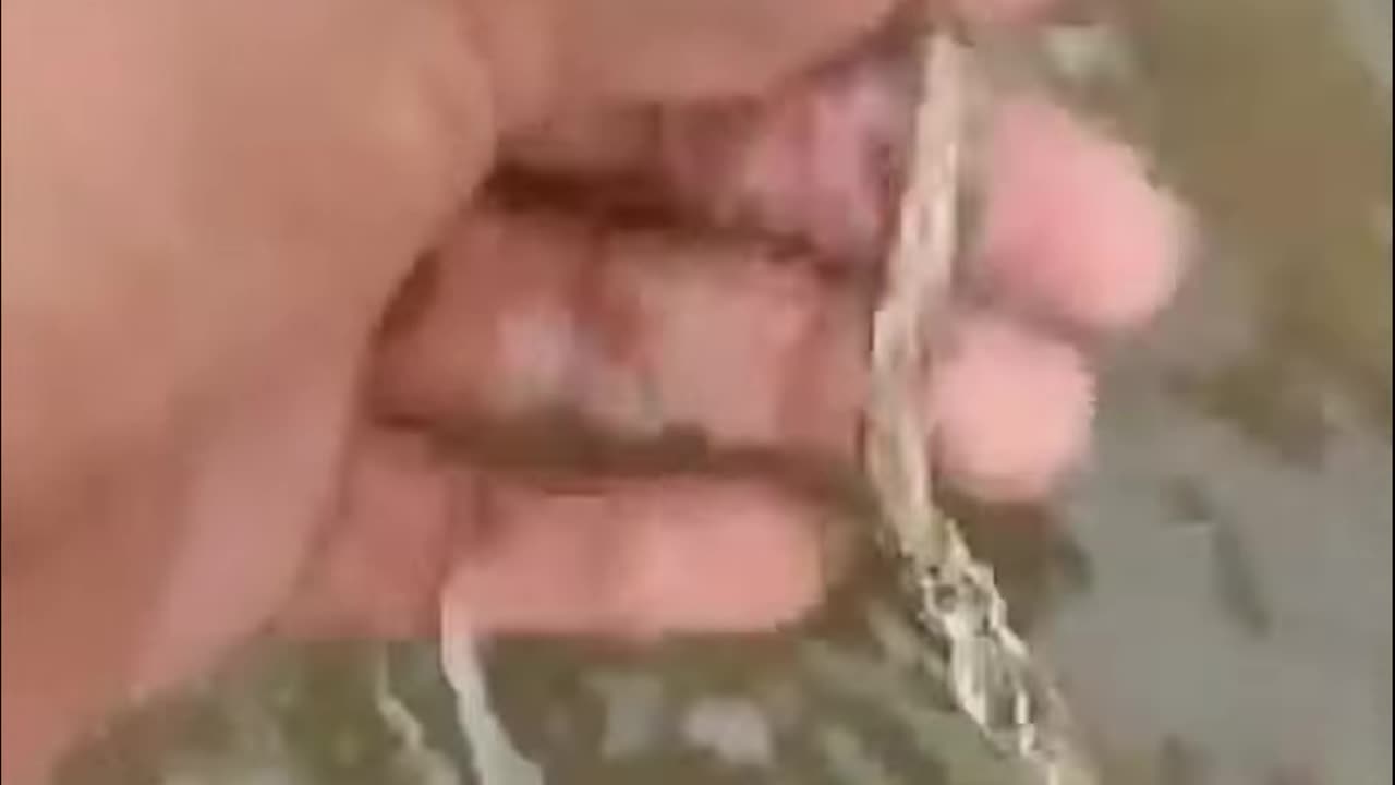 check out this magic stick