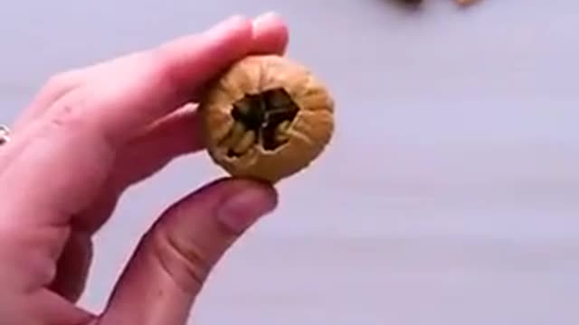 Quick Tips For Growing Your Own Food