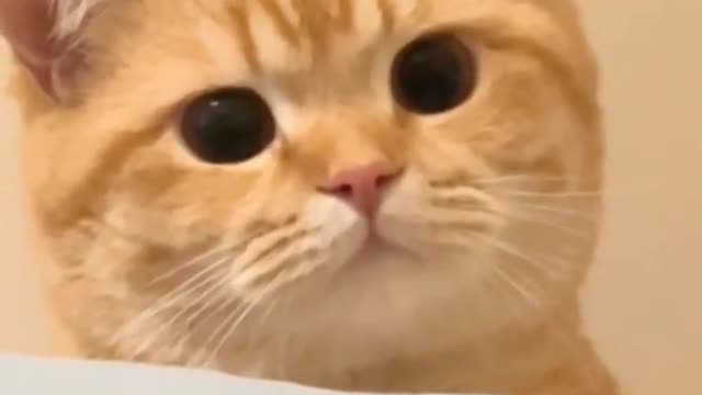 Do u like my eyes👀