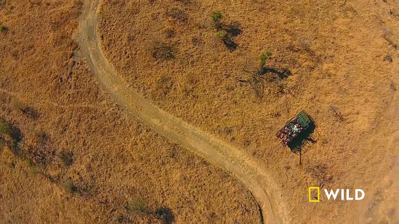 Man V. Lion | Full Episode