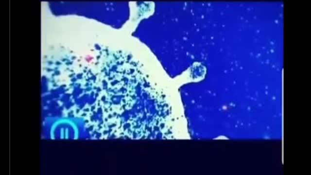 HIV In The Vax
