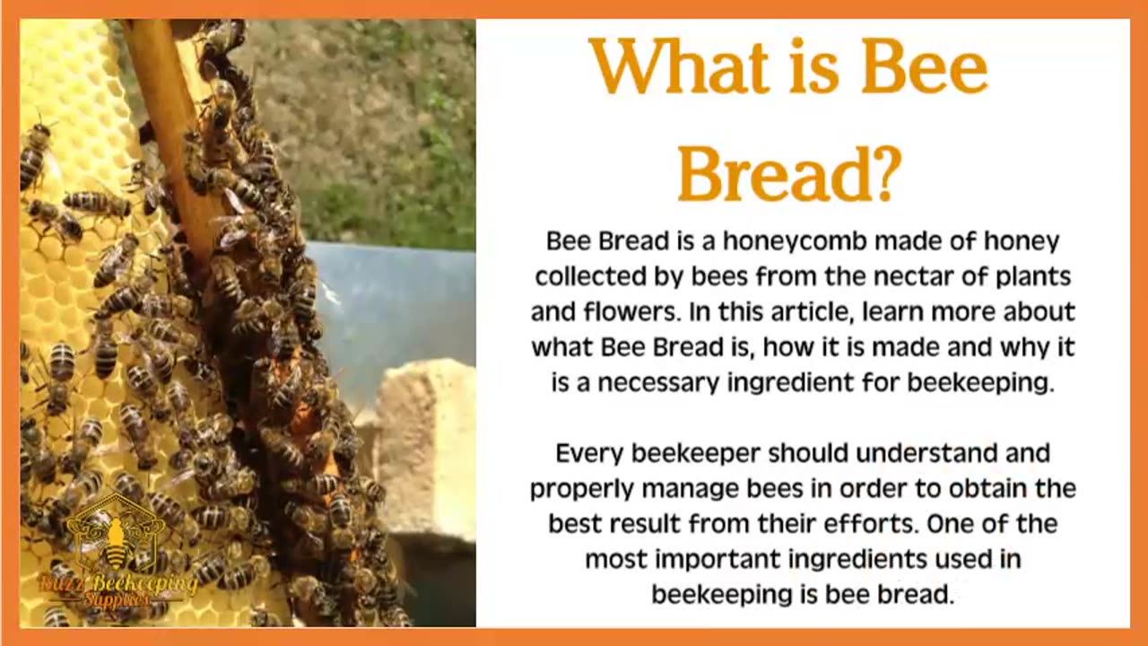 What is Bee Bread?