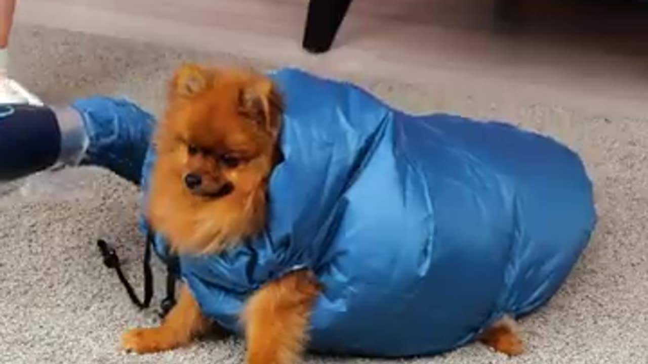 Cool Gadgets And Hacks For The Whole Family