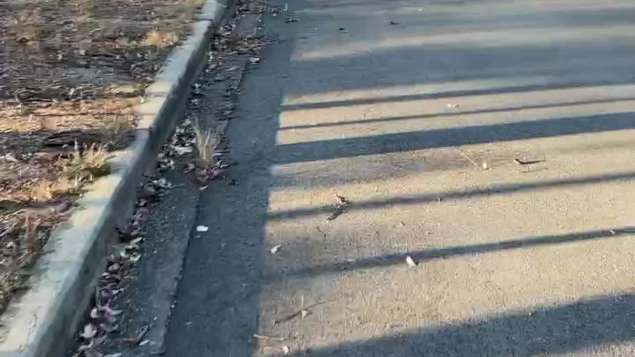 Driveway Part 1 of 2