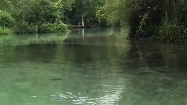 Weeki Wachee River