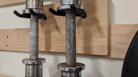 Garage gym dumbbell storage