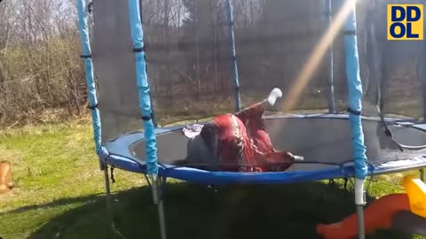 😂 Hilarious Try Not to Laugh Challenge! Best Fails of the Week 🤣