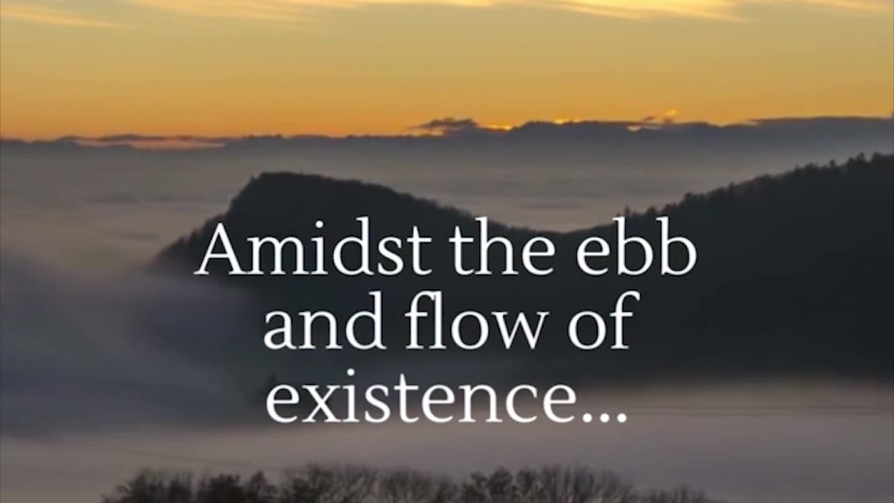 Harmony in Life's Chaos #Shorts #lifefacts #subscribe