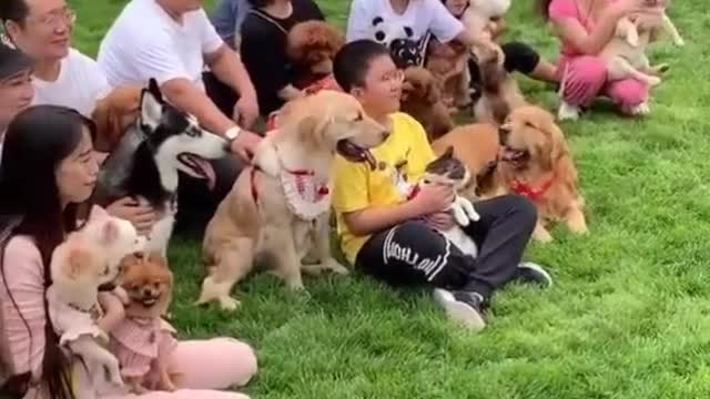 Have you found my four children😍😍#VibeZone #cat #fyp #pets #dogs #dog #pet #foryou