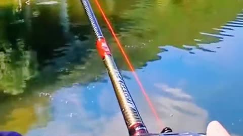 Take you to experience fake fishing bass