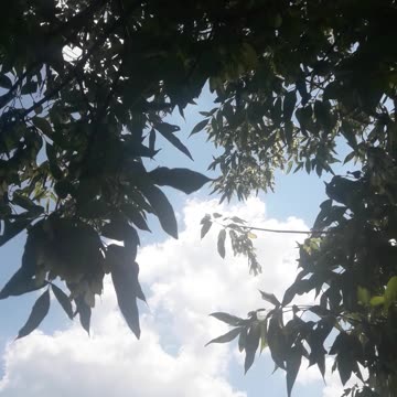 Looking beyond the clouds