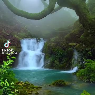 Gr liton Natural Clips, Natural Video Clips # - 86