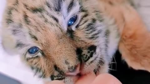 So cute 🥰