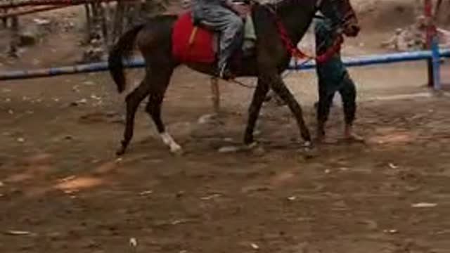 Horse riding in Hed Balloki in Pakistan