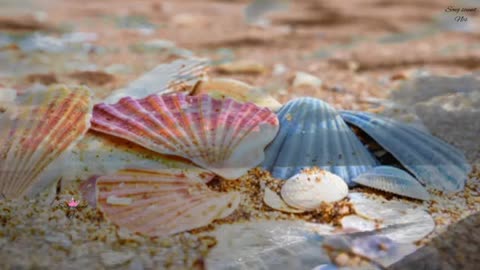 Relaxing Music | Sleeping, Meditation, Stress Relief | [6111] ⭐️