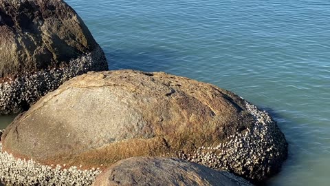 10/19 - Praia do Fayet: O destino perfeito para relaxar em Governador Celso Ramos