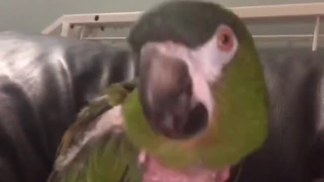 La neta cada vez me gusta más hacer videos