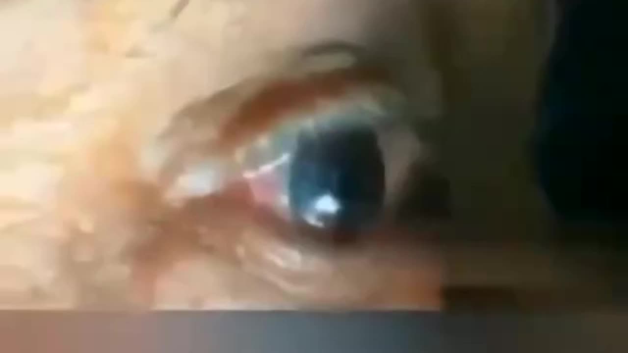 The Vril Reptilian Drone