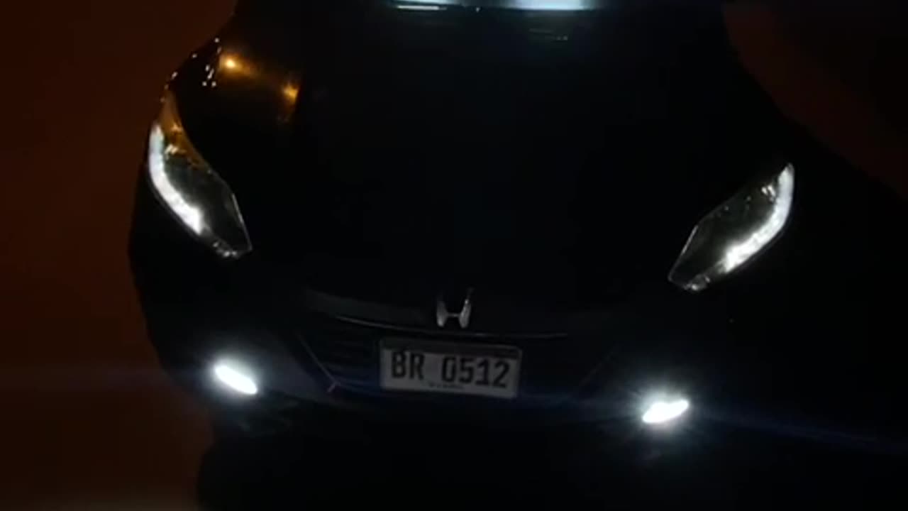 Car lover