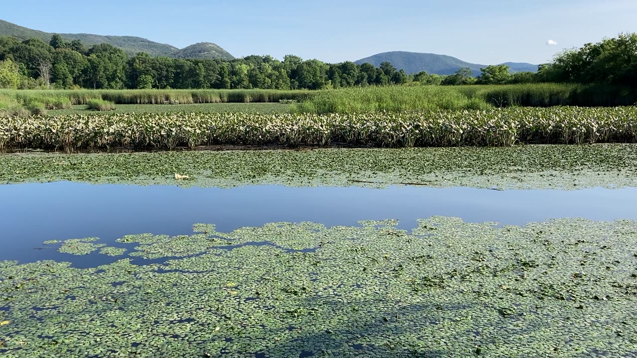 Madam Brett Park & Marsh Trail (Beacon, NYS) 1