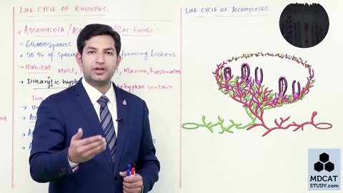 LEC#8 ZYGOMYCOTA + ASCOMYCOTA