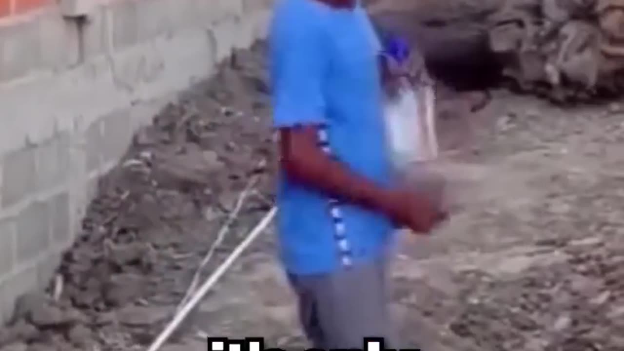 This Genius has Trollied a Thief