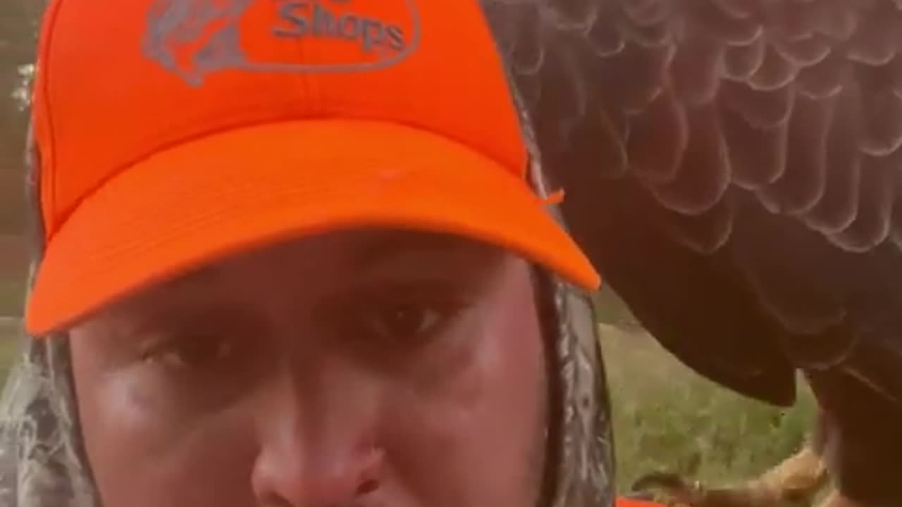 Bald Eagle Lands on Man's Shoulder