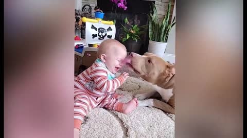 Cutest Babies Play With Dogs And Cats Compilation