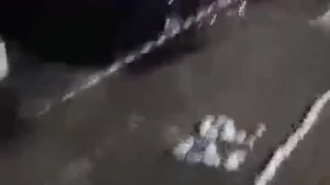 La diligenza passa, la Costituzione resta !!!