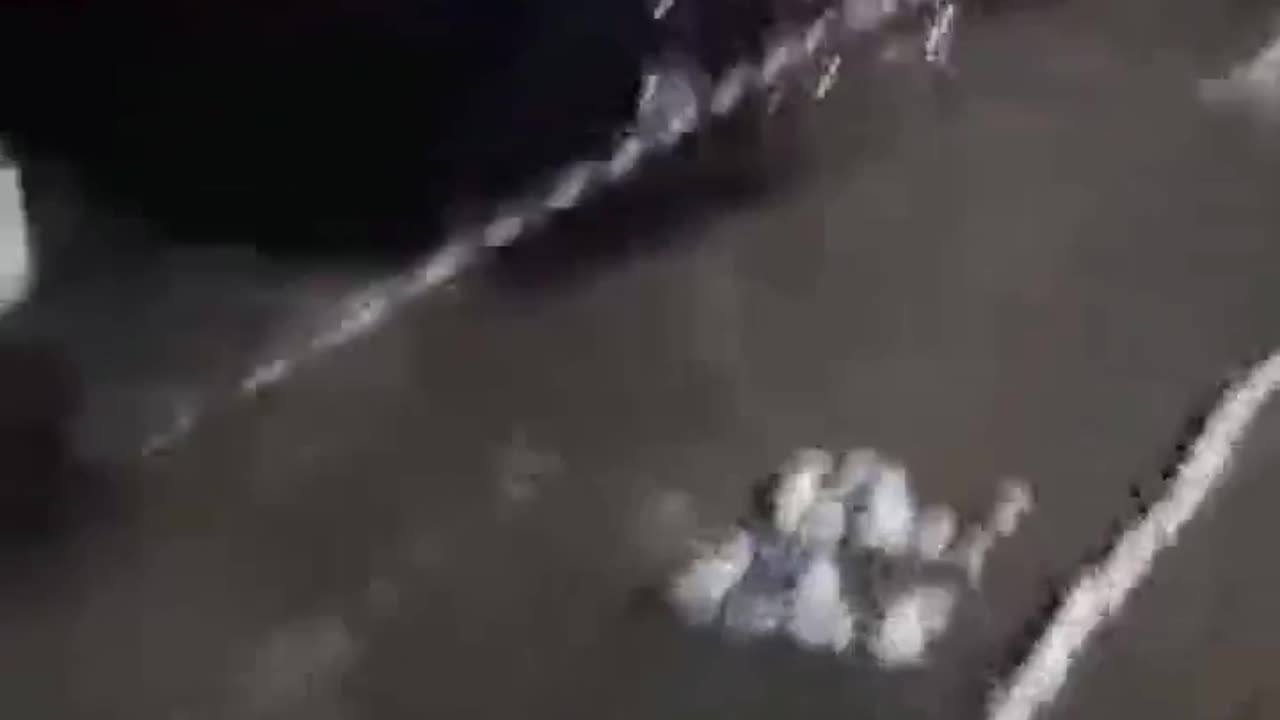 La diligenza passa, la Costituzione resta !!!