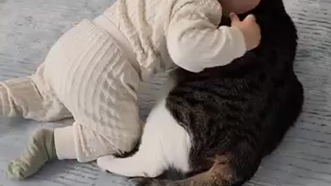 Baby play with cat😻