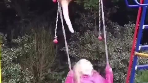Funny And Cute Animal Videos Try Not To laugh or smile