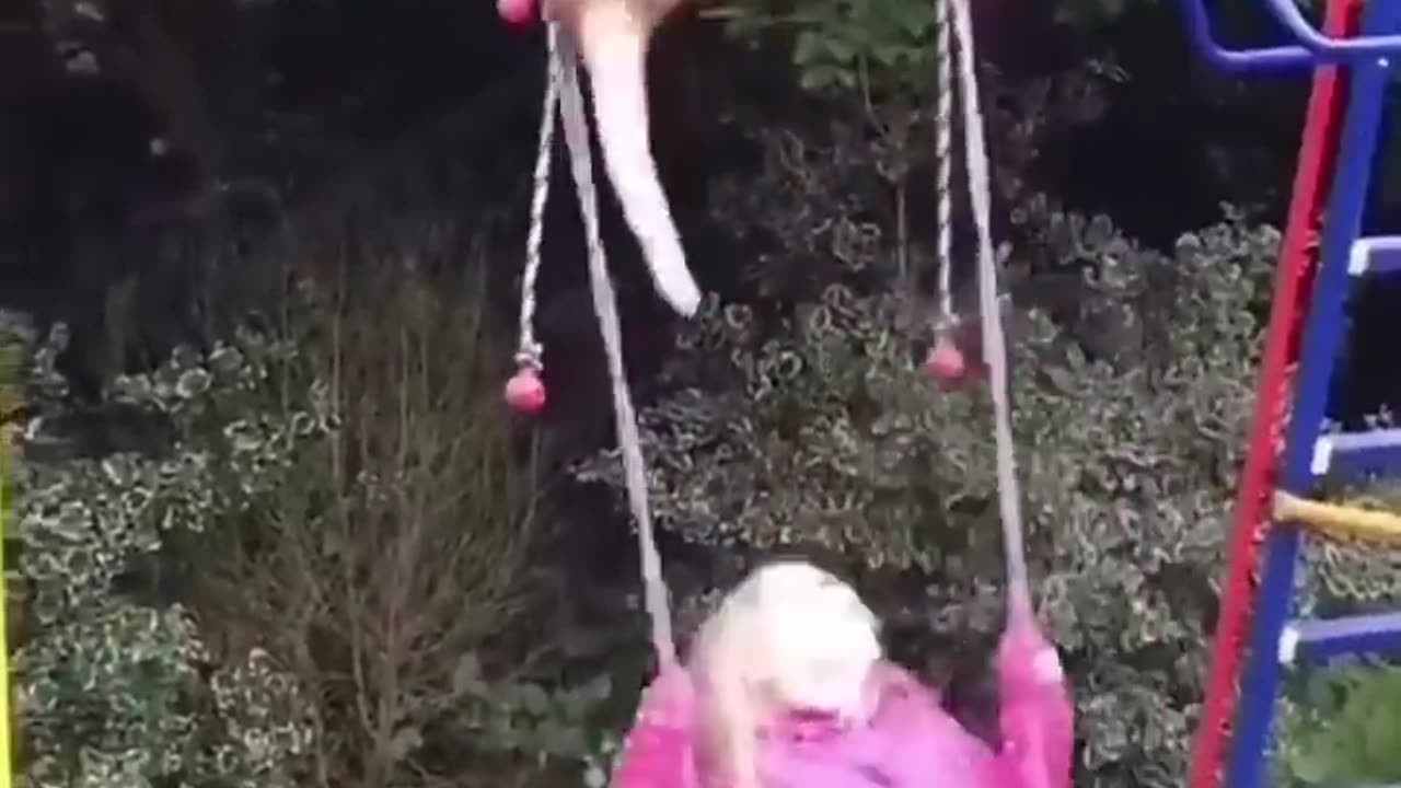 Funny And Cute Animal Videos Try Not To laugh or smile